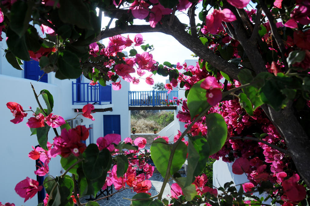 Aegeo Hotel Folegandros Town ภายนอก รูปภาพ